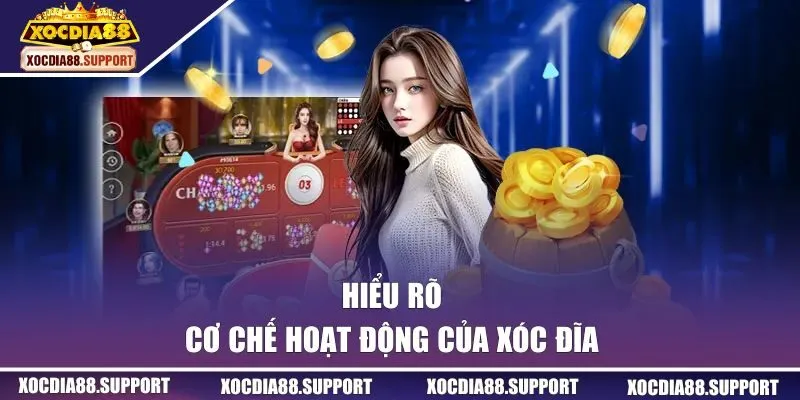 Hiểu rõ cơ chế hoạt động của xóc đĩa